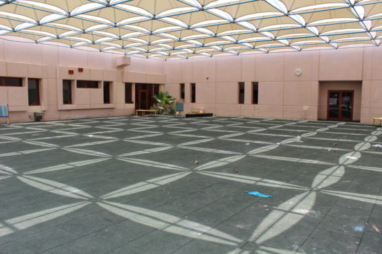 جامعة الملك عبدالله للعلوم والتقنية